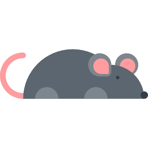 Hipponuto